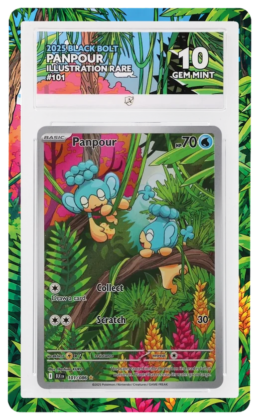 SlabCraft Full Art slab guard on an Ace Grading slab, with the card's artwork extending around the frame